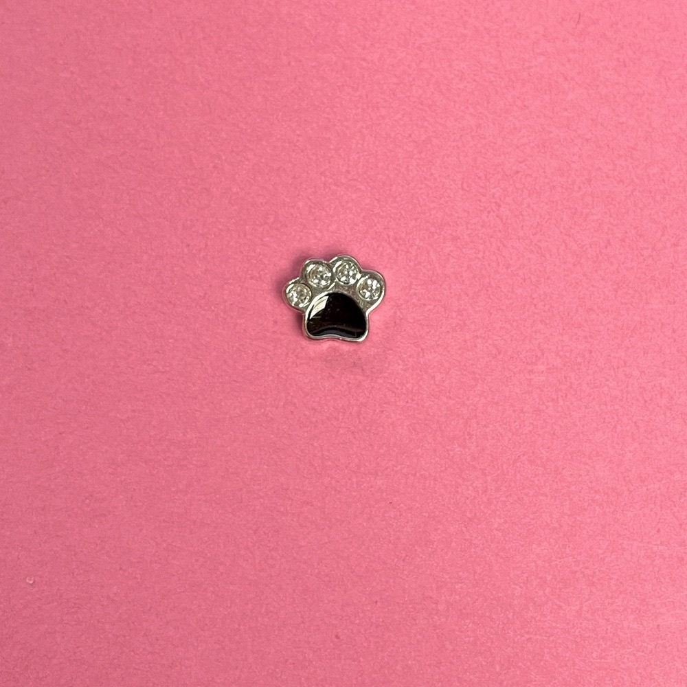 Origami Owl Charm